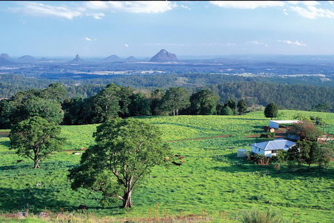 Full Day Sunshine Coast Hinterland Luxury Small Group Tour From Brisbane - Pubs Adelaide 2