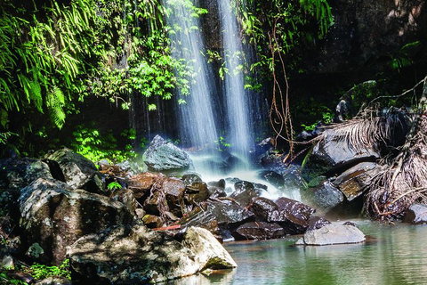 Full Day Small Group Luxury Tour To Tamborine Mountain - Pubs Adelaide 0