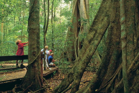 Full Day Small Group Luxury Tour To Tamborine Mountain - Pubs Adelaide 1
