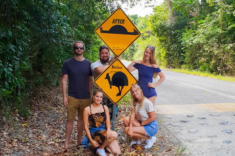 Cape Tribulation, Daintree Rainforest And Wildlife Tour - Pubs Adelaide 0
