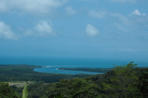 Cape Tribulation, Daintree Rainforest And Wildlife Tour - Pubs Adelaide 1