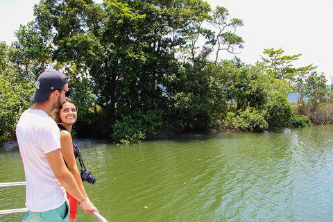 Cape Tribulation, Daintree Rainforest And Wildlife Tour - Pubs Adelaide 2