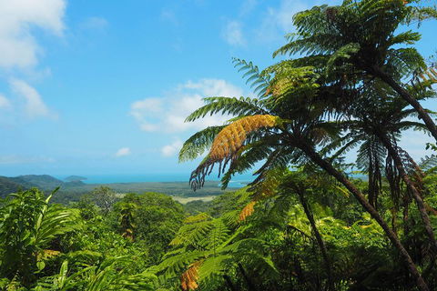 Cape Tribulation, Daintree Rainforest And Wildlife Tour - Pubs Adelaide 3