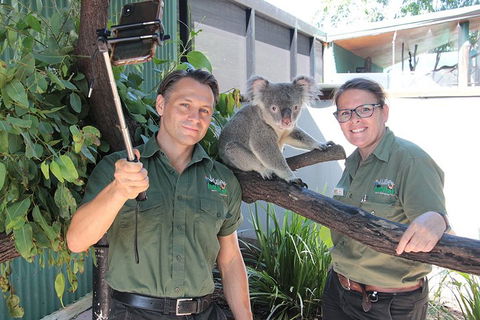 Virtual Interactive Australian Wildlife Tour With Private Guide-Wildlife Habitat - Pubs Adelaide 0