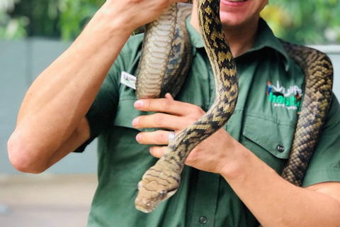 Virtual Interactive Australian Wildlife Tour With Private Guide-Wildlife Habitat - Pubs Adelaide 1