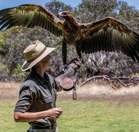One Day Kangaroo Island Sip  See tour with return ferry transfers from Adelaide - Pubs Adelaide