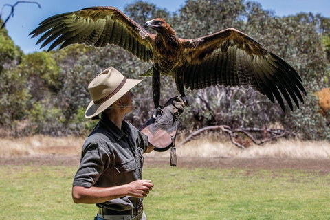 One Day Kangaroo Island Sip & See Tour With Return Ferry Transfers From Adelaide - Pubs Adelaide 0
