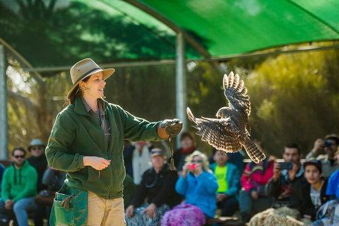 One Day Kangaroo Island Sip & See Tour With Return Ferry Transfers From Adelaide - Pubs Adelaide 3