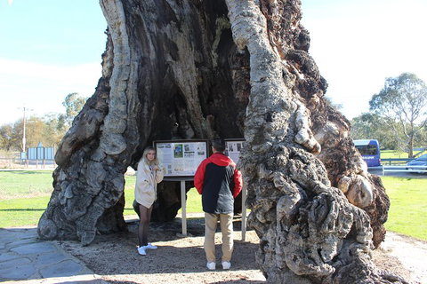 Barossa And Hahndorf Day Trip From Adelaide Including Wine Tasting And Lunch - Pubs Adelaide 1