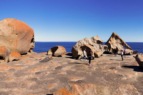 Full-Day Kangaroo Island Experience Departing From Kangaroo Island - Pubs Adelaide 4