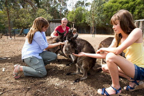 Full-Day Kangaroo Island Experience Departing From Kangaroo Island - Pubs Adelaide 5