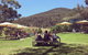 Yarra Valley Wine And Cider Tours By Classic Convertibles From Melbourne - thumb 0