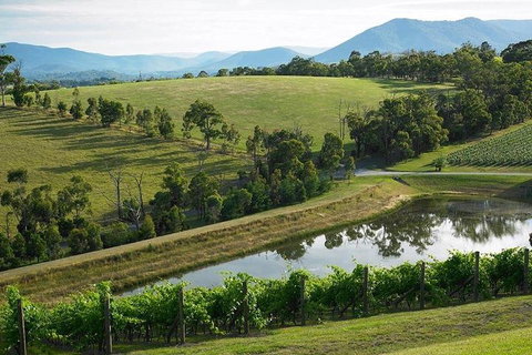 Yarra Valley Wine And Cider Tours By Classic Convertibles From Melbourne - Pubs Adelaide 1