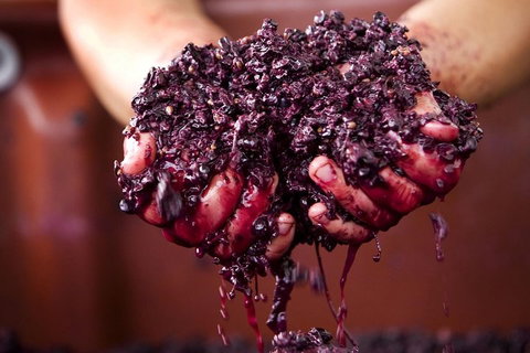 Yarra Valley Wine And Cider Tours By Classic Convertibles From Melbourne - Pubs Adelaide 2