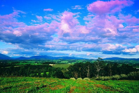 Yarra Valley Wine And Cider Tours By Classic Convertibles From Melbourne - Pubs Adelaide 3