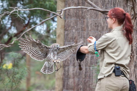 Moonlit Sanctuary Wildlife Conservation Park Daytime General Entry Ticket - Pubs Adelaide 1