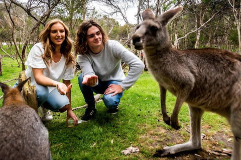 Moonlit Sanctuary Wildlife Conservation Park Daytime General Entry Ticket - Pubs Adelaide 2