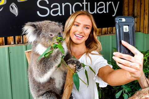 Moonlit Sanctuary Wildlife Conservation Park Daytime General Entry Ticket - Pubs Adelaide 4