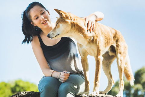 Moonlit Sanctuary Wildlife Conservation Park Daytime General Entry Ticket - Pubs Adelaide 5
