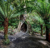 Adelaide to Melbourne 3-Day Trip through Grampians and Great Ocean Road - Pubs Adelaide