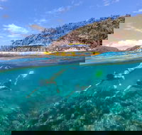 Great Barrier Reef Scenic Flight and Ocean Rafting Whitehaven Beach Day Trip - Pubs Adelaide