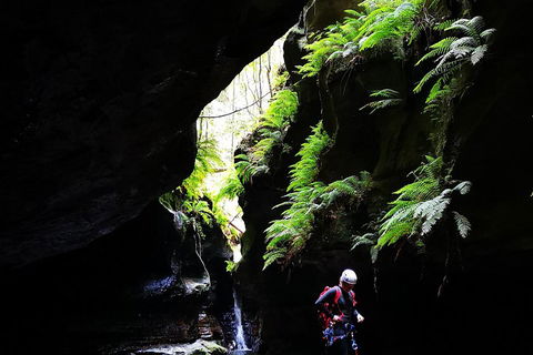 Full-Day Canyoning Experience At Stunning Empress Canyon - Pubs Adelaide 2