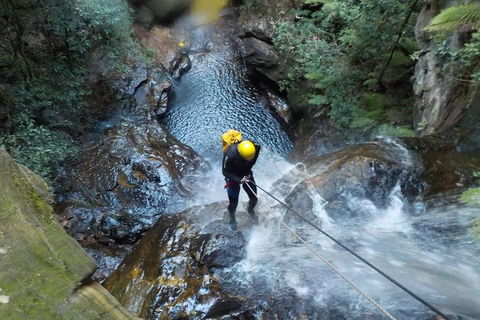 Full-Day Canyoning Experience At Stunning Empress Canyon - Pubs Adelaide 4