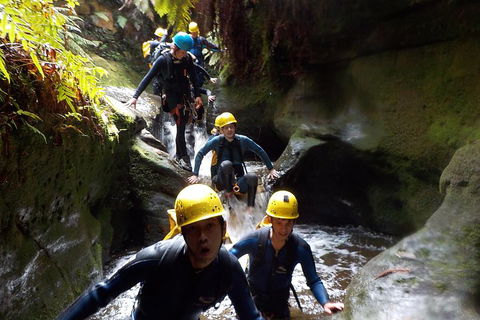 Full-Day Canyoning Experience At Stunning Empress Canyon - Pubs Adelaide 5