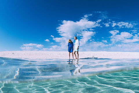 4-Day Coastal Loop Via Monkey Mia Wild Dolphins Kalbarri Pinnacles Perth Return - Pubs Adelaide 0