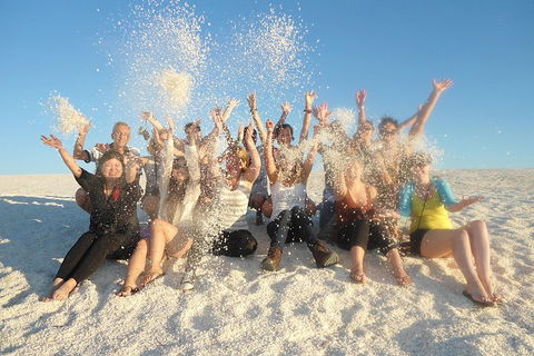4-Day Coastal Loop Via Monkey Mia Wild Dolphins Kalbarri Pinnacles Perth Return - Pubs Adelaide 1