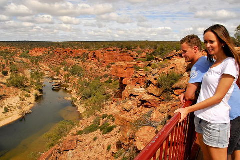 4-Day Coastal Loop Via Monkey Mia Wild Dolphins Kalbarri Pinnacles Perth Return - Pubs Adelaide 3