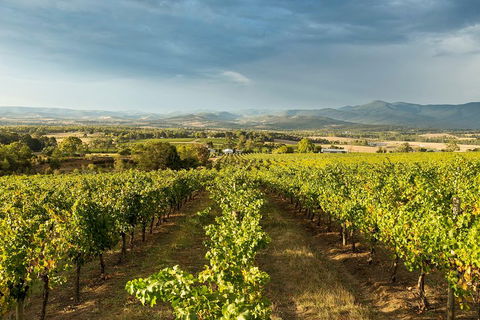 Yarra Valley Local Produce And Wine Tasting Tour - Pubs Adelaide 3