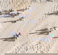 Unlimited Sandboarding - Pubs Adelaide