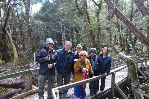 Blue Mountains Private Tour With Wildlife Park And River Cruise - Pubs Adelaide 2