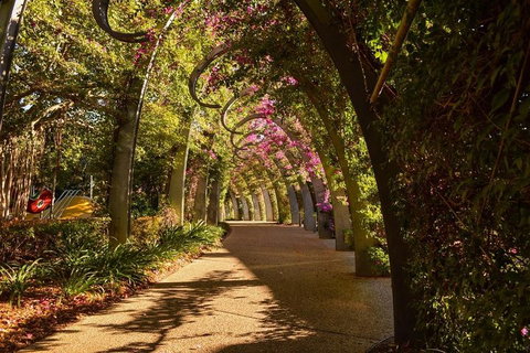 Brisbane Scavenger Hunt: Brisbane's South Bank! - Pubs Adelaide 3