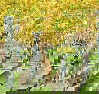Margaret River Indulge and Discover Day Tour - Pubs Adelaide