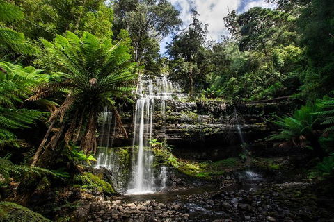 3-Day Tour To The Falls, Mountains, Lake & More Of West Coast Tasmania - Pubs Adelaide 4