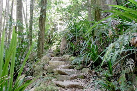 Byron Bay Combo: Minyon Falls And Hinterland Day Trip And Learn To Surf At Byron Bay - Pubs Adelaide 3