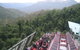 Blue Mountains PRIVATE - Full Day Tour - 6 People Max - thumb 0