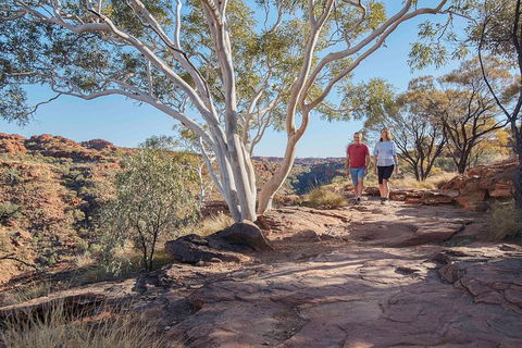 3-Day Tour From Uluru (Ayers Rock) To Alice Springs Via Kings Canyon - Pubs Adelaide 1