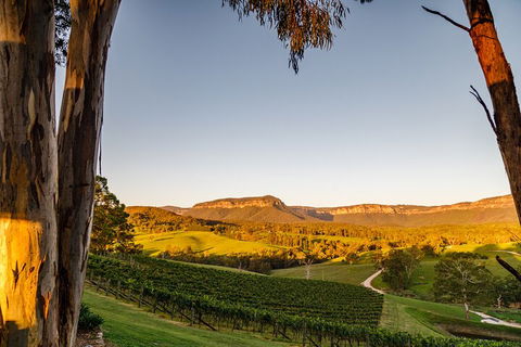 Taste Of The Blue Mountains - Lunch & Wine Tasting, Beer, Cider & Gin Tasting - Pubs Adelaide 1