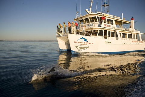 Jervis Bay Dolphin Watch Cruise - Pubs Adelaide 3