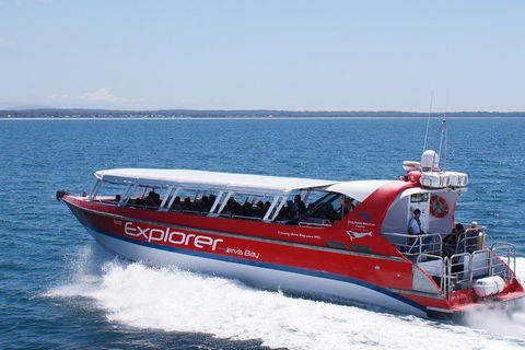 Whale Watching Jervis Bay - Pubs Adelaide 1
