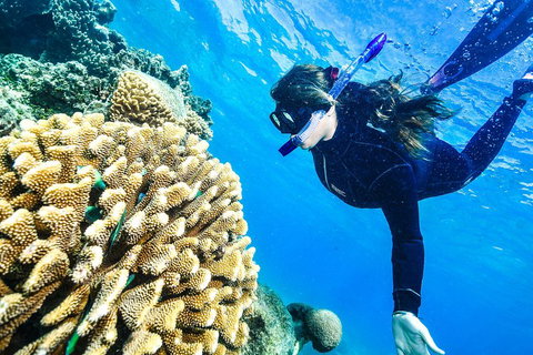 Green Island Day Trip From Cairns - Pubs Adelaide 1