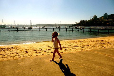 Morning Or Afternoon Highlights Tour In Sydney With A Local Guide - Pubs Adelaide 3