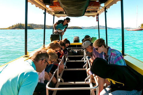 Airlie Beach Glass Bottom Boat Tour - Pubs Adelaide 1