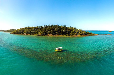 Airlie Beach Glass Bottom Boat Tour - Pubs Adelaide 3