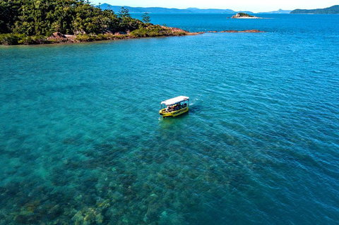 Airlie Beach Glass Bottom Boat Tour - Pubs Adelaide 4