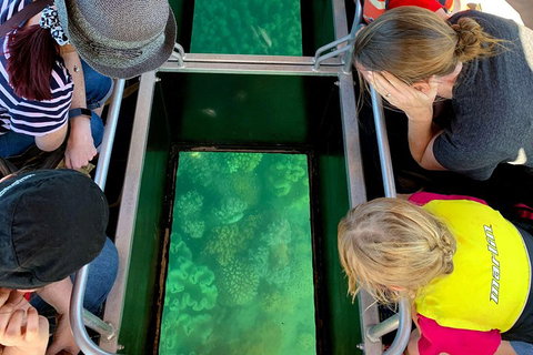 Airlie Beach Glass Bottom Boat Tour - Pubs Adelaide 5