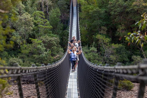 Tahune Airwalk Active Day Trip From Hobart Including Hastings Caves - Pubs Adelaide 3